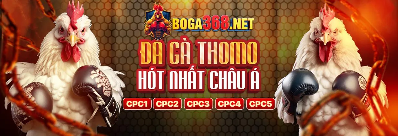 Đá gà trực tuyến 999ok win với các trận đấu kịch tính và cựa sắt